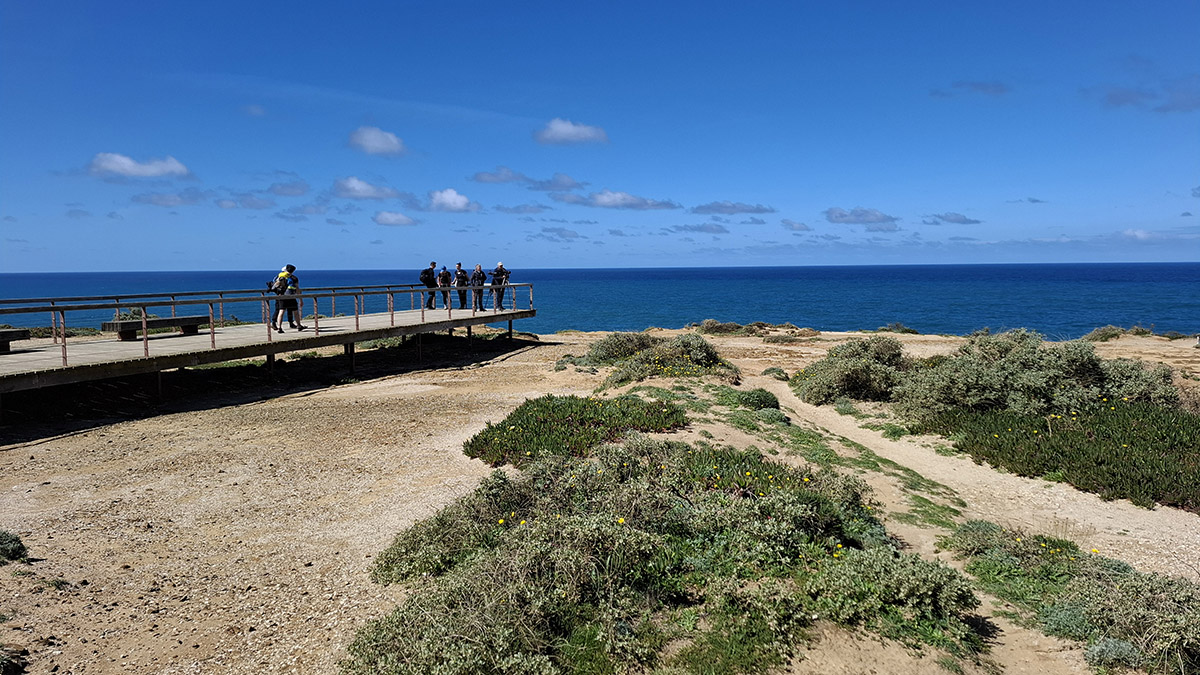 Cabo Sardao
